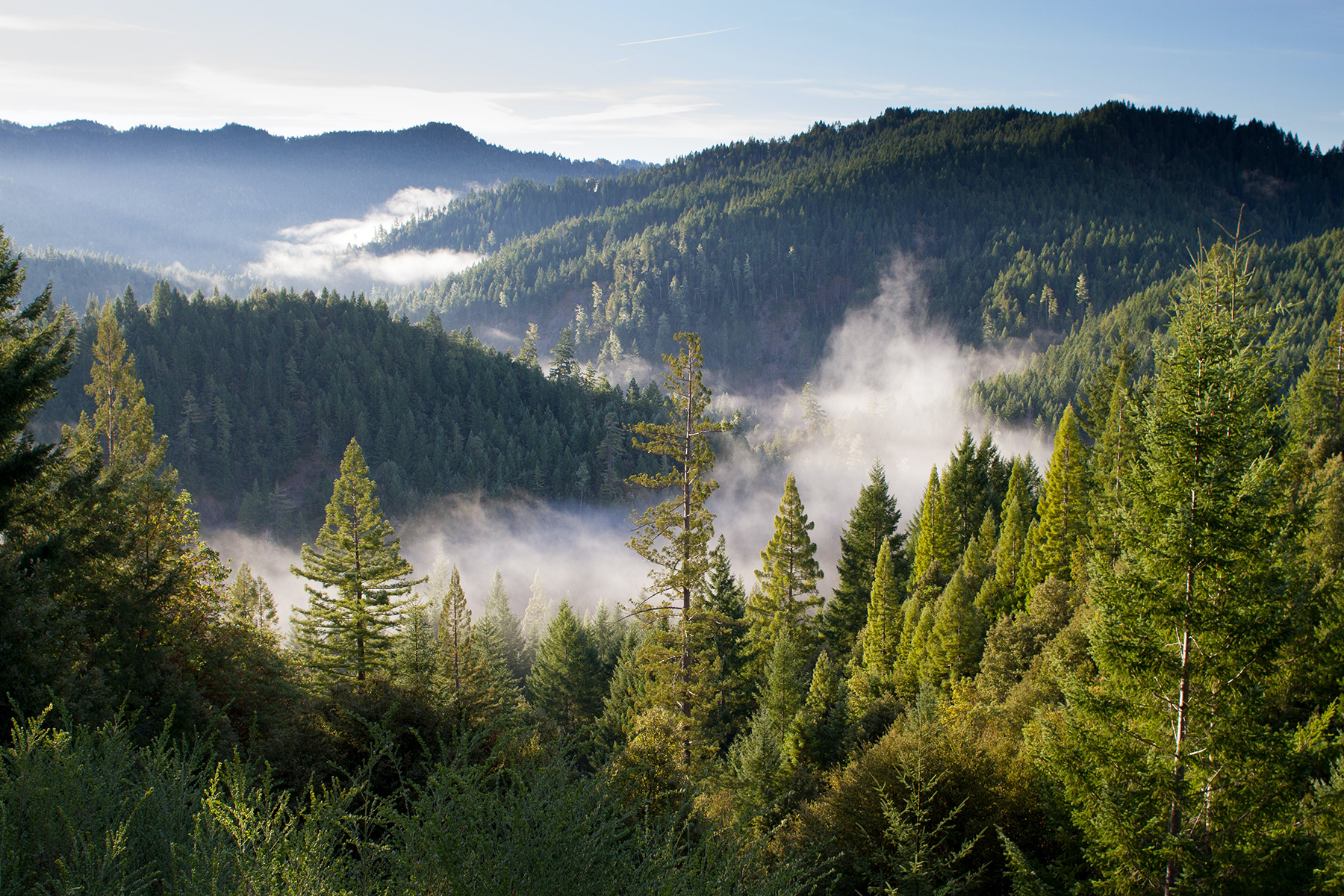 053_Nachhaltigkeit_Umwelt_Natur_Wald_Landschaft 053_Nachhaltigkeit_Umwelt_Natur_Wald_Landschaft